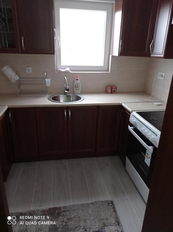 Apartman Svetlana 2 Zabljak  Exterior photo